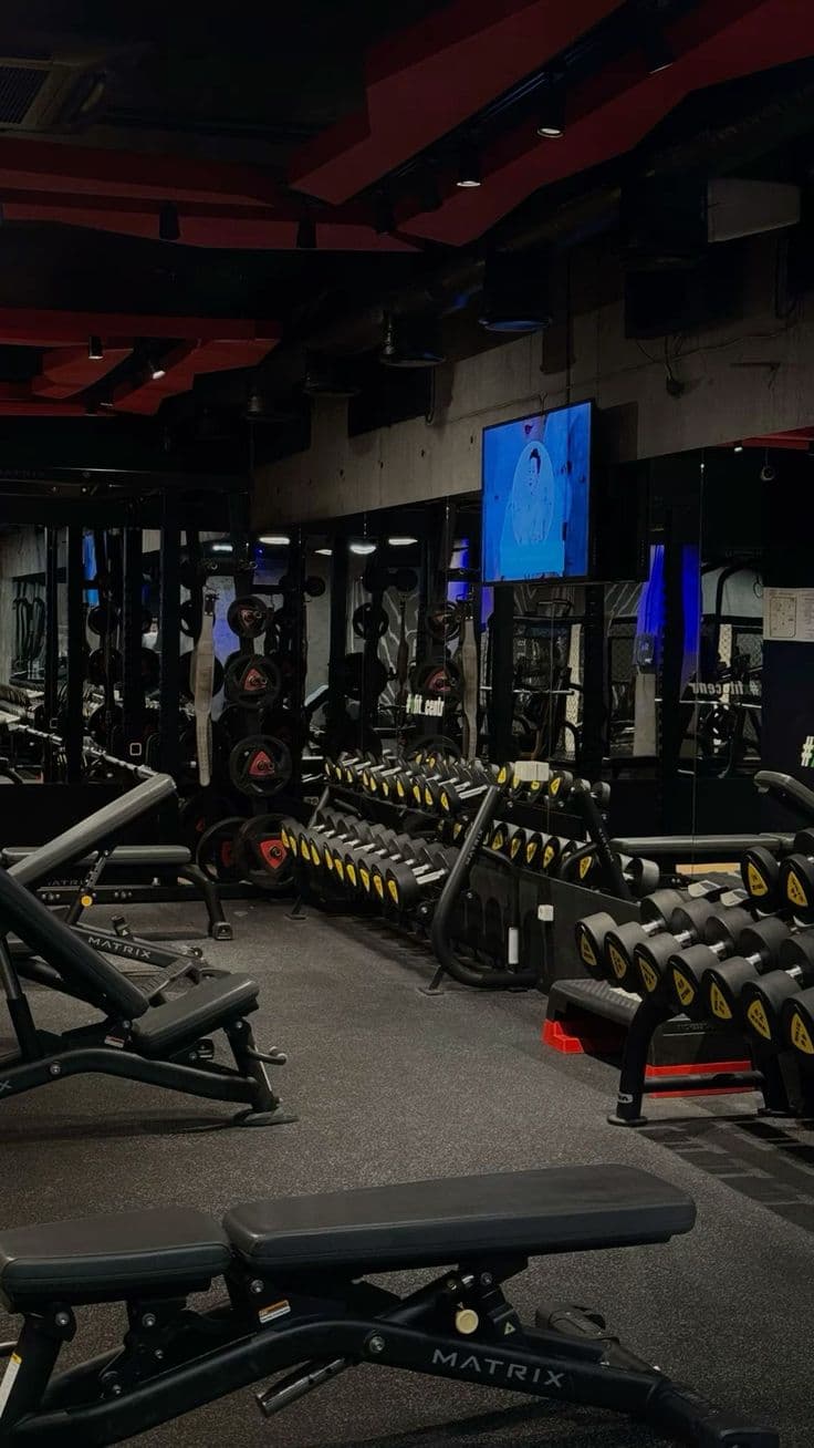 Commercial Gym
